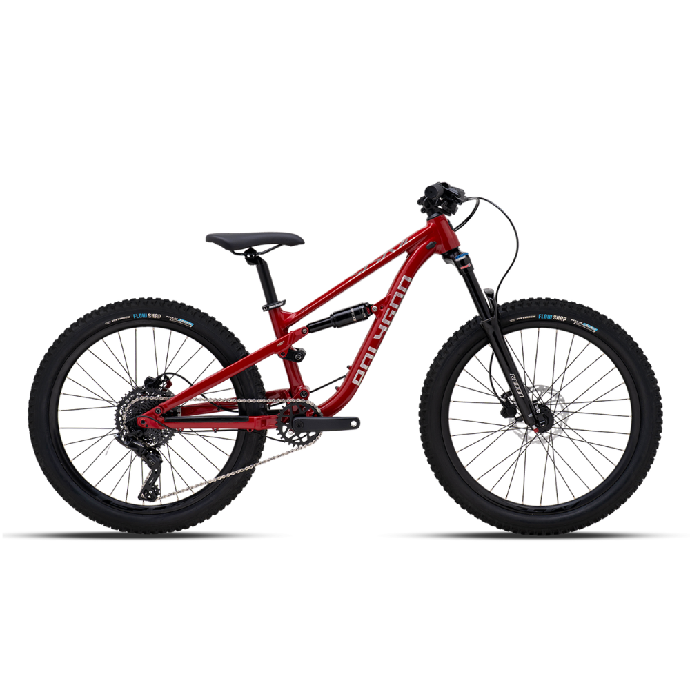 Siskiu D24