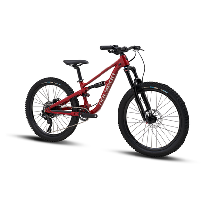 Siskiu D24